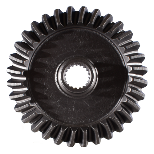 436-DTM-BR-2-19