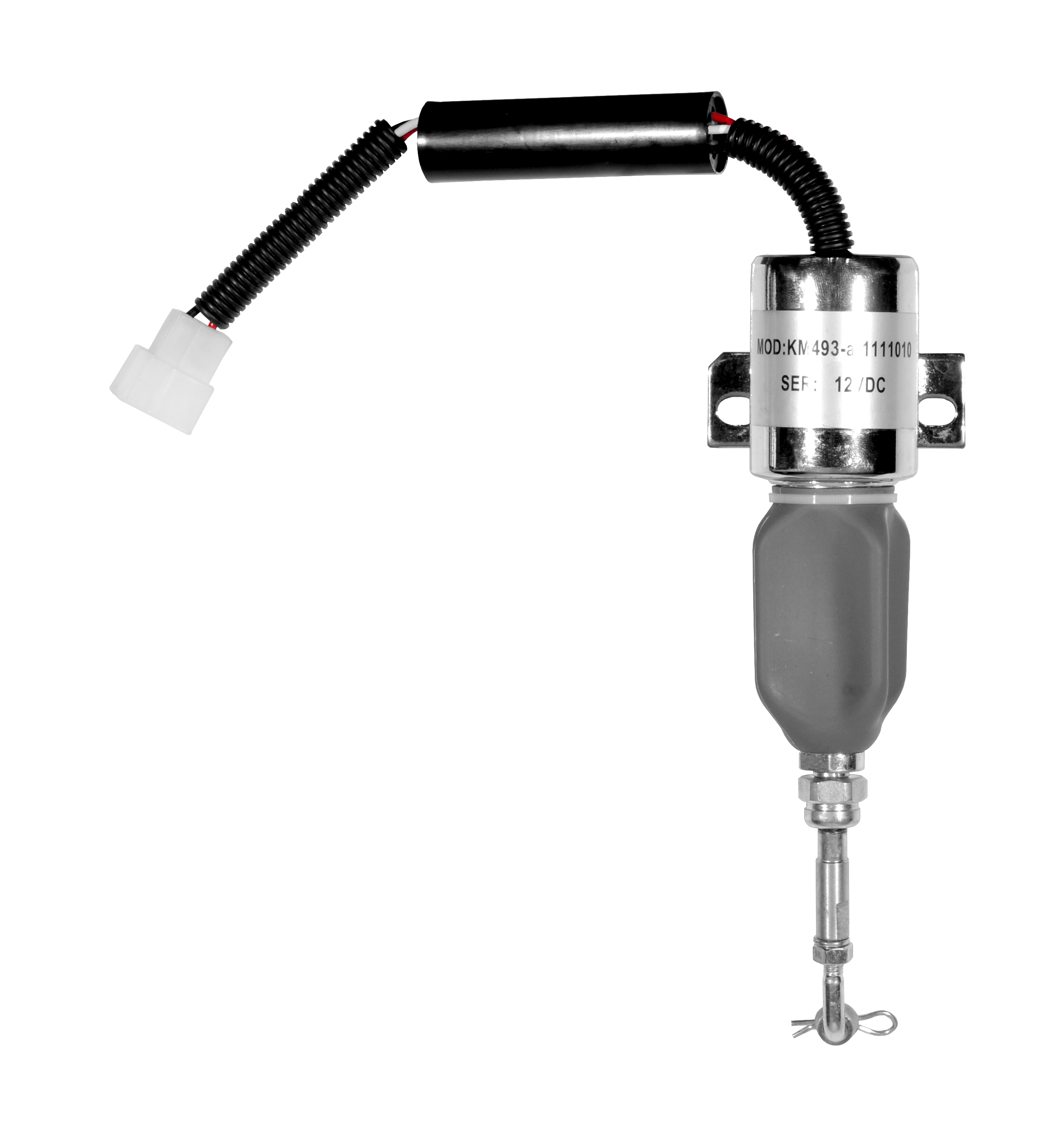 F-REP-MOTDIE-304